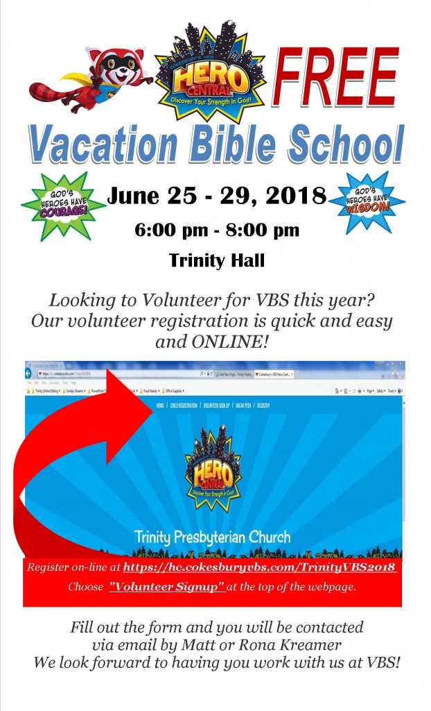 VBS volunteer for website